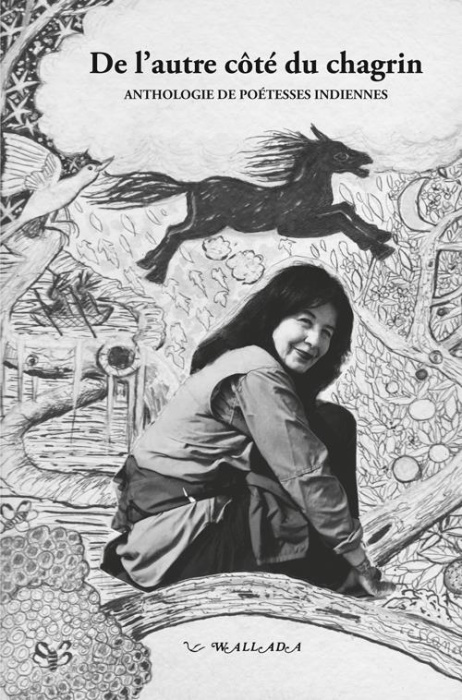 Emprunter De l'autre côté du chagrin. Douze poétesses indiennes d'Amérique incarnant l'esprit de résistance livre