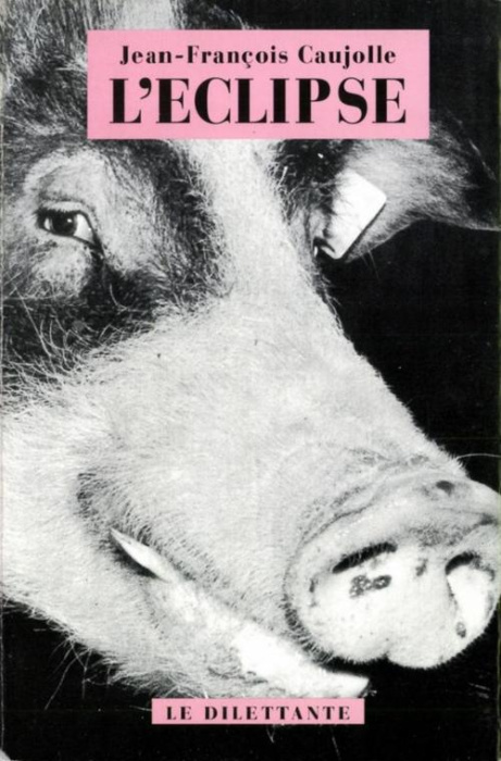 Emprunter L'ECLIPSE livre