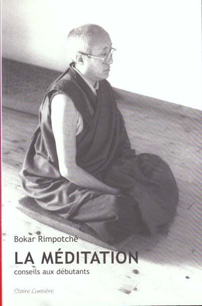 Emprunter La méditation. Conseil aux débutants livre