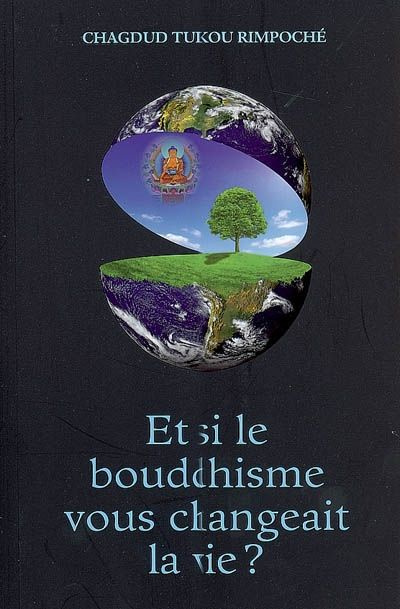 Emprunter Et si le bouddhisme vous changeait la vie ? livre