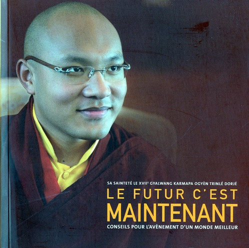 Emprunter LE FUTUR C'EST MAINTENANT livre