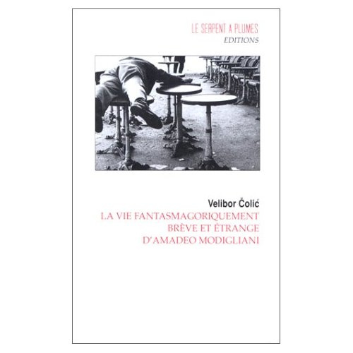 Emprunter LA VIE FANTASMAGORIQUEMENT BREVE ET ETRANGE D AMADEO MODIGLIANI livre