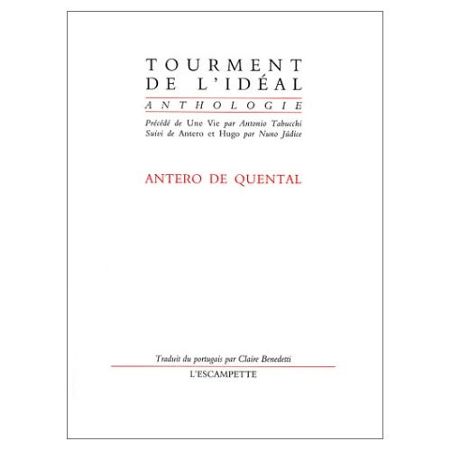 Emprunter Tourment de l'idéal livre