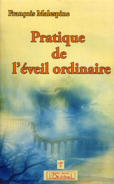 Emprunter Pratique de l'éveil ordinaire livre