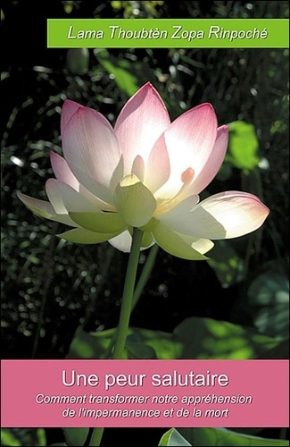 Emprunter Une peur salutaire / Comment transformer notre appréhension face à l'impermanence et la mort livre
