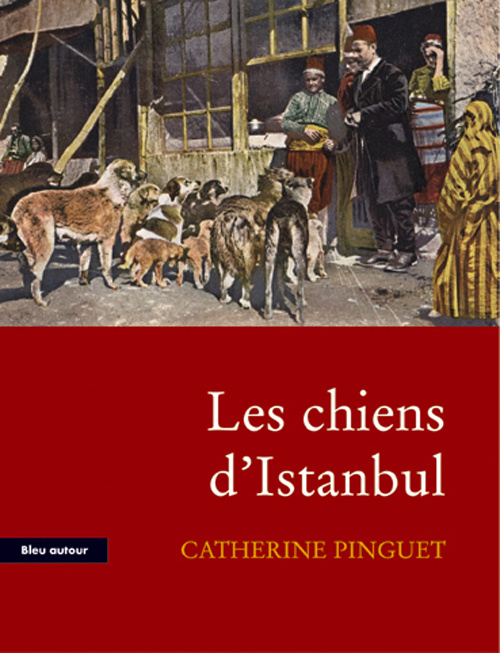 Emprunter Les chiens d'Istanbul. Des rapports entre l'homme et l'animal de l'Antiquitité à nos jours livre
