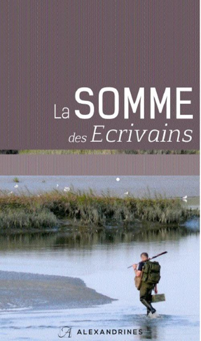 Emprunter La Somme des écrivains. Edition revue et augmentée livre