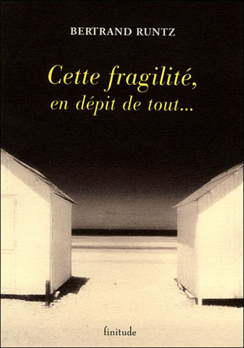 Emprunter CETTE FRAGILITE, EN DEPIT DE TOUT... livre