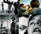 Emprunter Le bar Floréal. Photographie livre