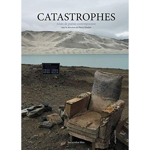 Emprunter Catastrophes. Eclats de poésie contemporaine livre