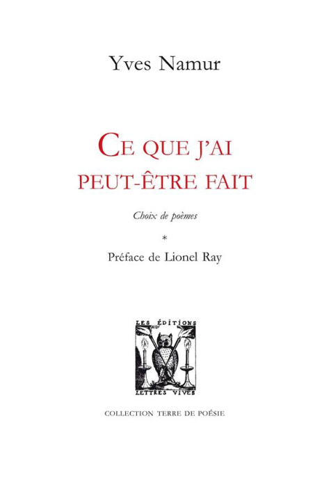 Emprunter Ce que j'ai peut-être fait livre
