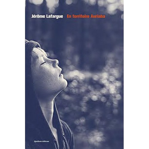 Emprunter En territoire Auriaba livre