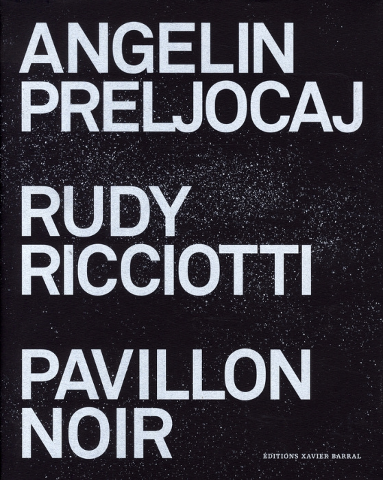 Emprunter Pavillon noir livre