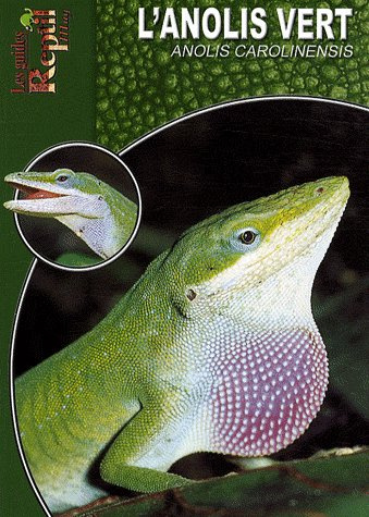 Emprunter L'anolis vert. Anolis carolinensis livre