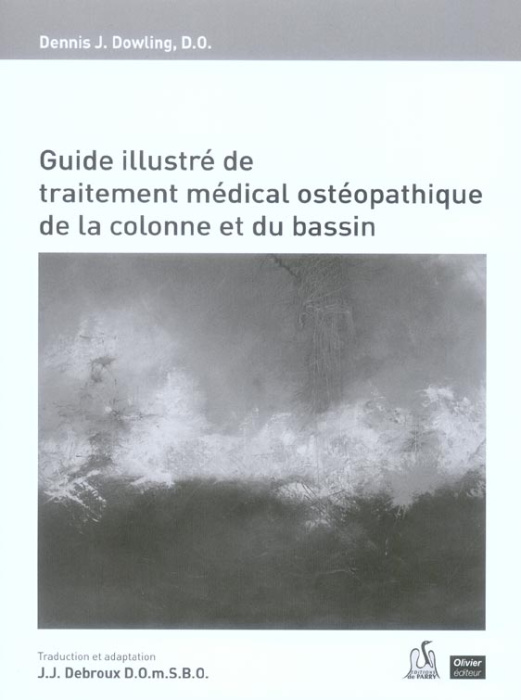 Emprunter GUIDE ILLUSTRE DE TRAITEMENT MEDICAL ET OSTEOPATHIEQUE DE LA COLONNE ET DU BASSIN livre