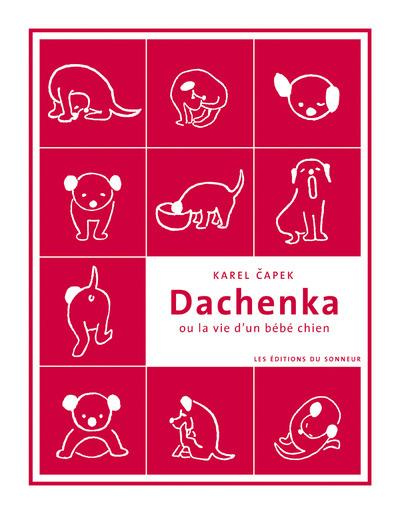 Emprunter Dachenka ou la vie d'un bébé chien livre