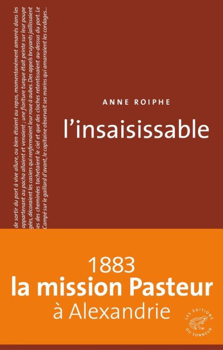Emprunter L'insaisissable livre