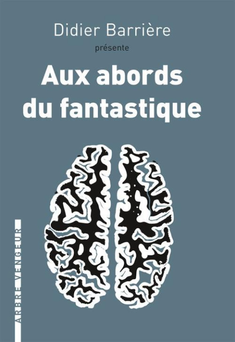 Emprunter Aux abords du fantastique. Trois espèces de récits livre