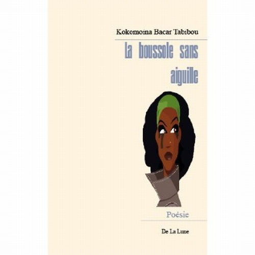 Emprunter La boussole sans aiguille livre