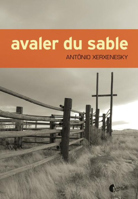 Emprunter Avaler du sable livre