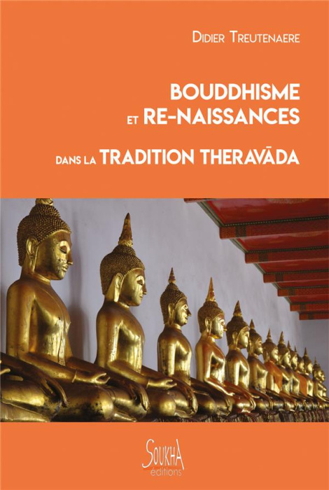Emprunter Bouddhisme et re-naissances dans la tradition Theravada livre