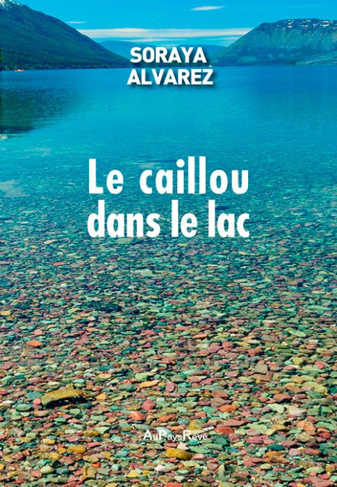 Emprunter Le caillou dans le lac livre