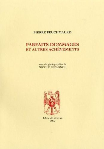 Emprunter Parfaits dommages et autres achèvements livre