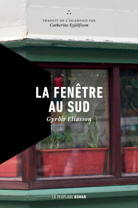 Emprunter La fenêtre au sud livre