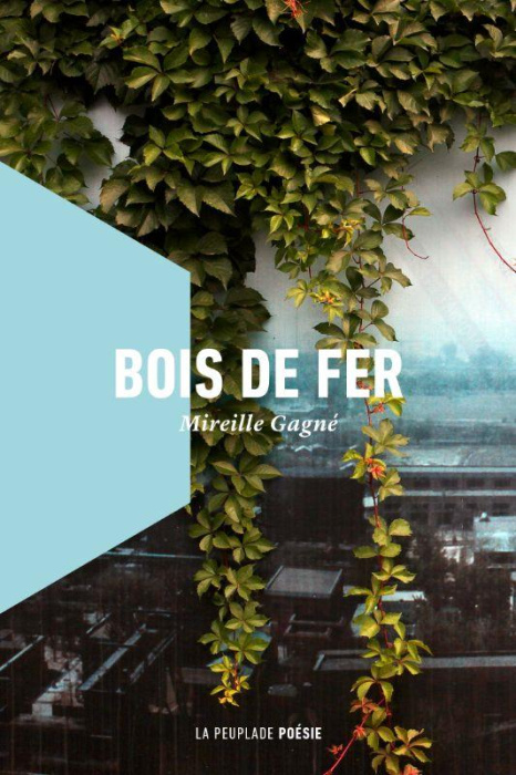 Emprunter Bois de fer livre