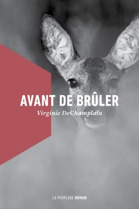 Emprunter Avant de brûler livre