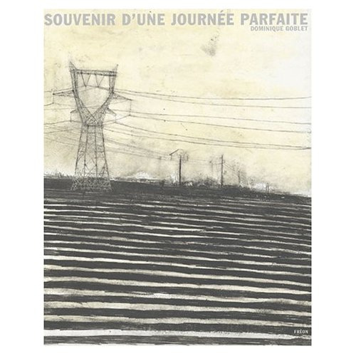 Emprunter Récits de ville Tome 5 : Souvenir d'une journée parfaite livre