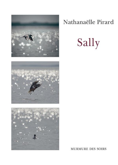 Emprunter Sally livre