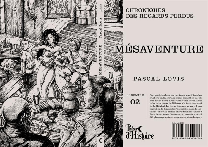 Emprunter Chronique des regards perdus : Mésaventure livre