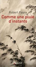 Emprunter Comme une pluie d'instants... une traversée du temps livre