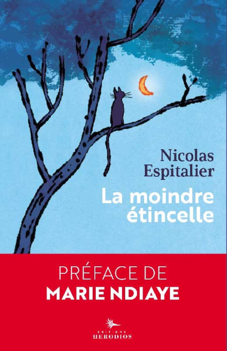 Emprunter La moindre étincelle livre