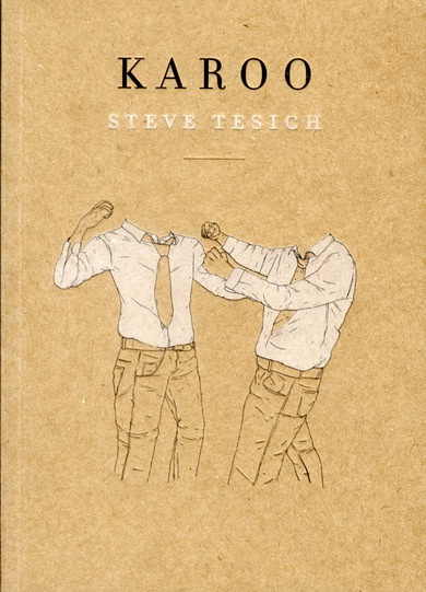 Emprunter Karoo livre