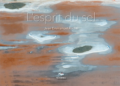 Emprunter L'esprit du sel livre