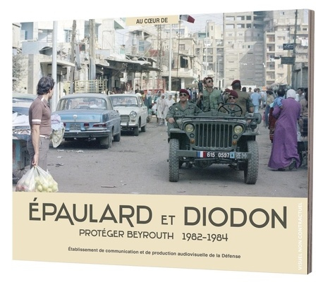 Emprunter Épaulard et Diodon. Protéger Beyrouth 1982-1984 livre