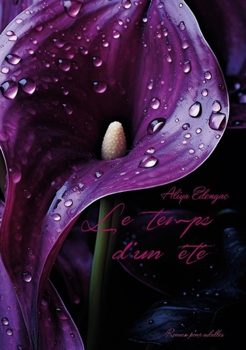 Emprunter Le Temps d'un été livre