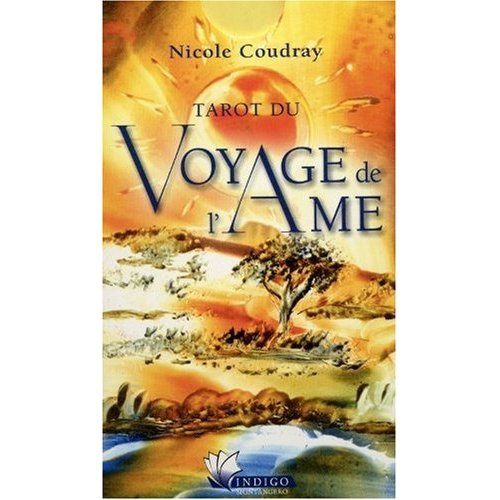 Emprunter TAROT DU VOYAGE DE L'AME livre