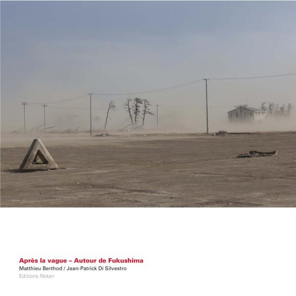 Emprunter Après les vagues. Autour de Fukushima livre