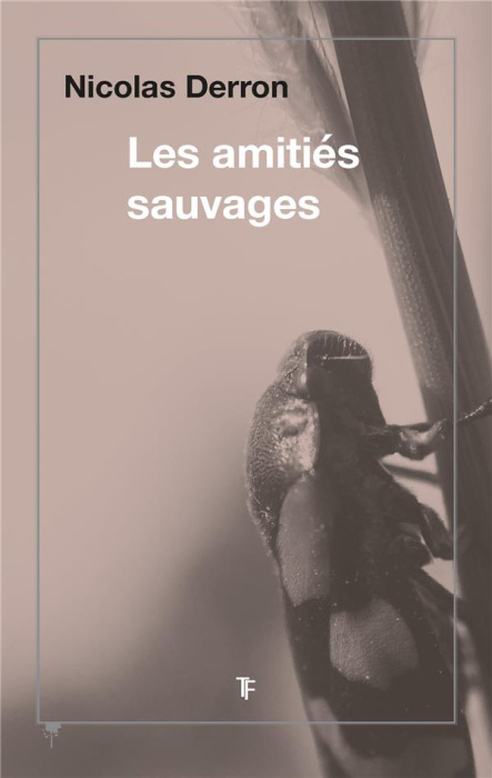 Emprunter Les amitiés sauvages livre