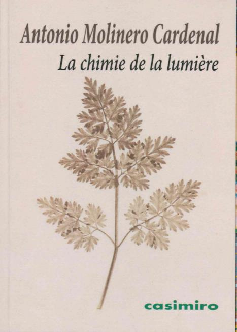 Emprunter La chimie de la lumière. Ou la naissance du photogramme livre
