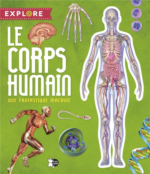 Emprunter Le corps humain. Une fantastique machine livre