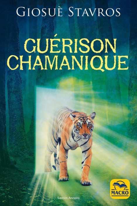 Emprunter Guérison chamanique livre