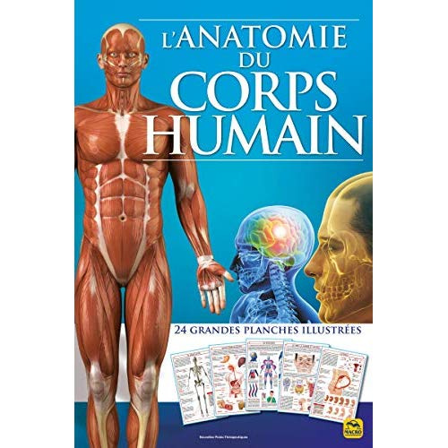 Emprunter L'anatomie du corps humain livre