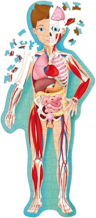 Emprunter Le corps humain. Puzzle prédécoupé de 200 pièces 10 maxi pièces ! livre