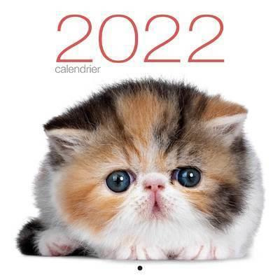 Emprunter Calendrier mural Chats. Edition 2022 livre
