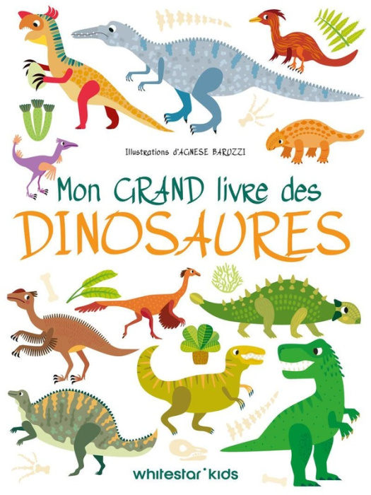 Emprunter Mon grand livre des dinosaures livre