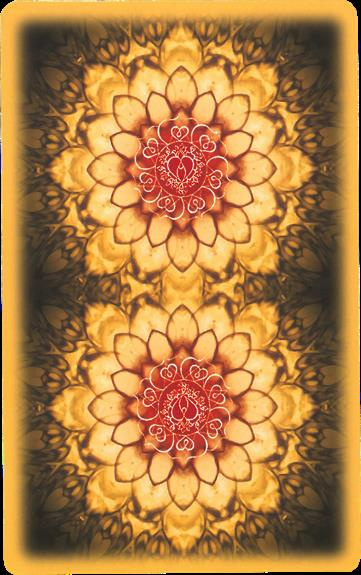 Emprunter Anges du karma Oracle livre